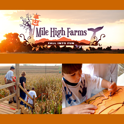 Mile High Farms