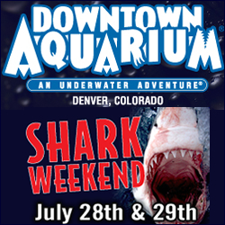 Shark Weekend Denver