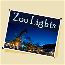 Denver Zoo - Zoo Lights
